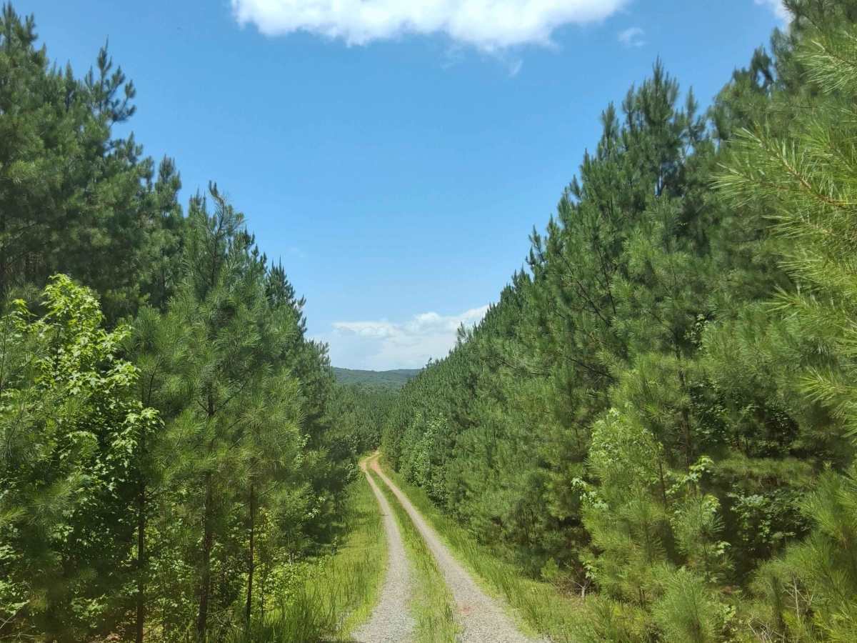 Slick Rock Road photo 6