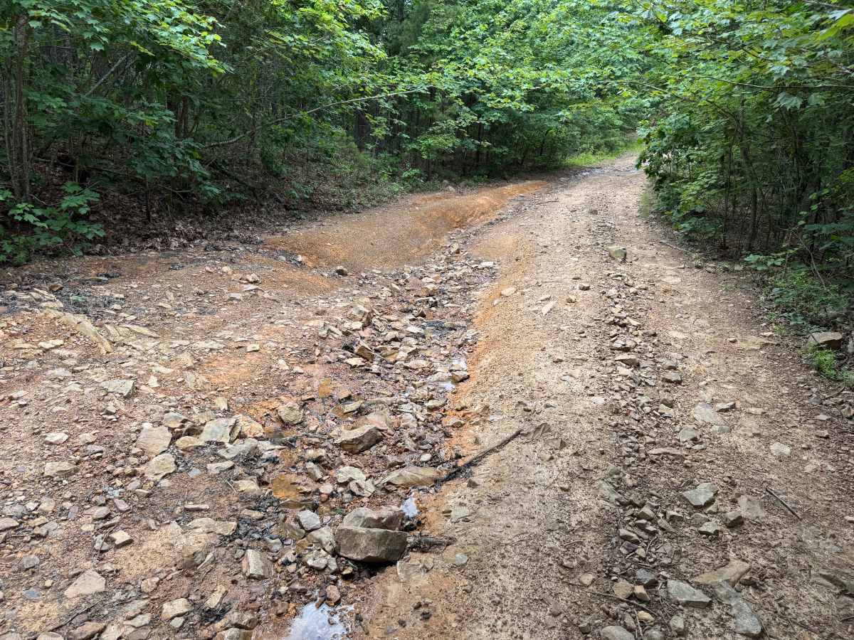 Buck Knob photo 5