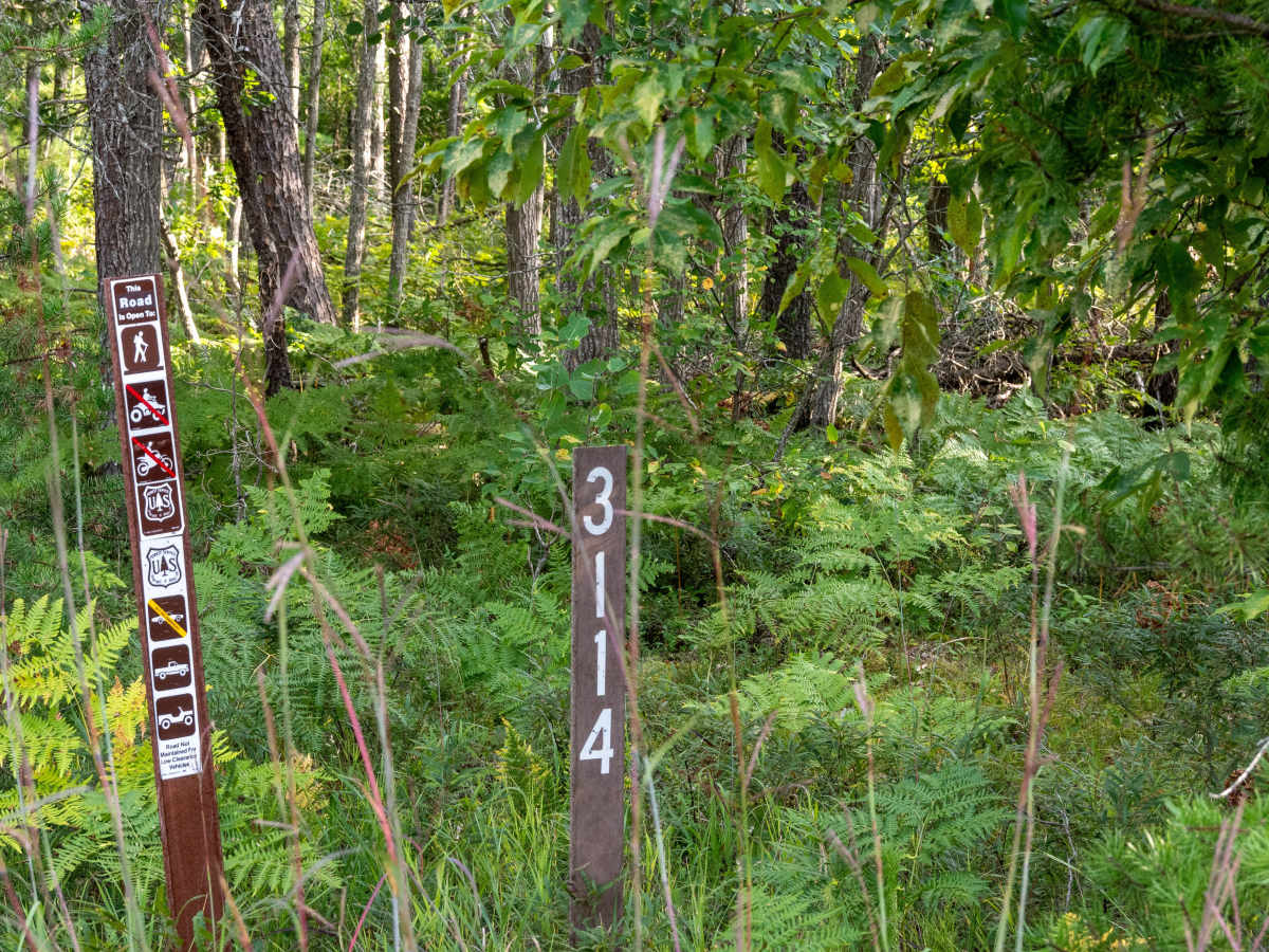FS 3114 trail photo