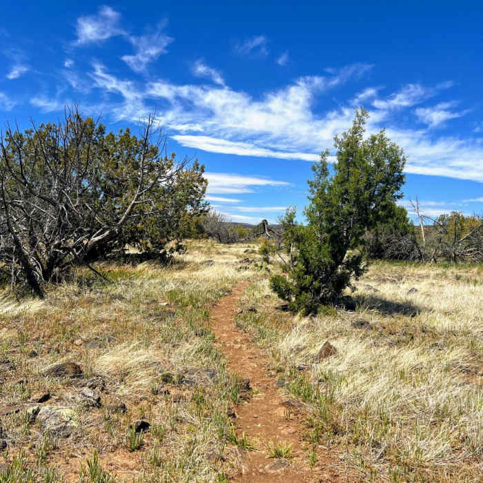 Near Arizona Trail Passage 25: Whiterock Mesa
