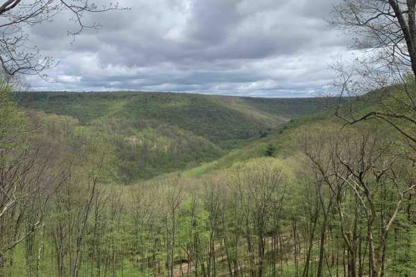 Lost Reactor Trail