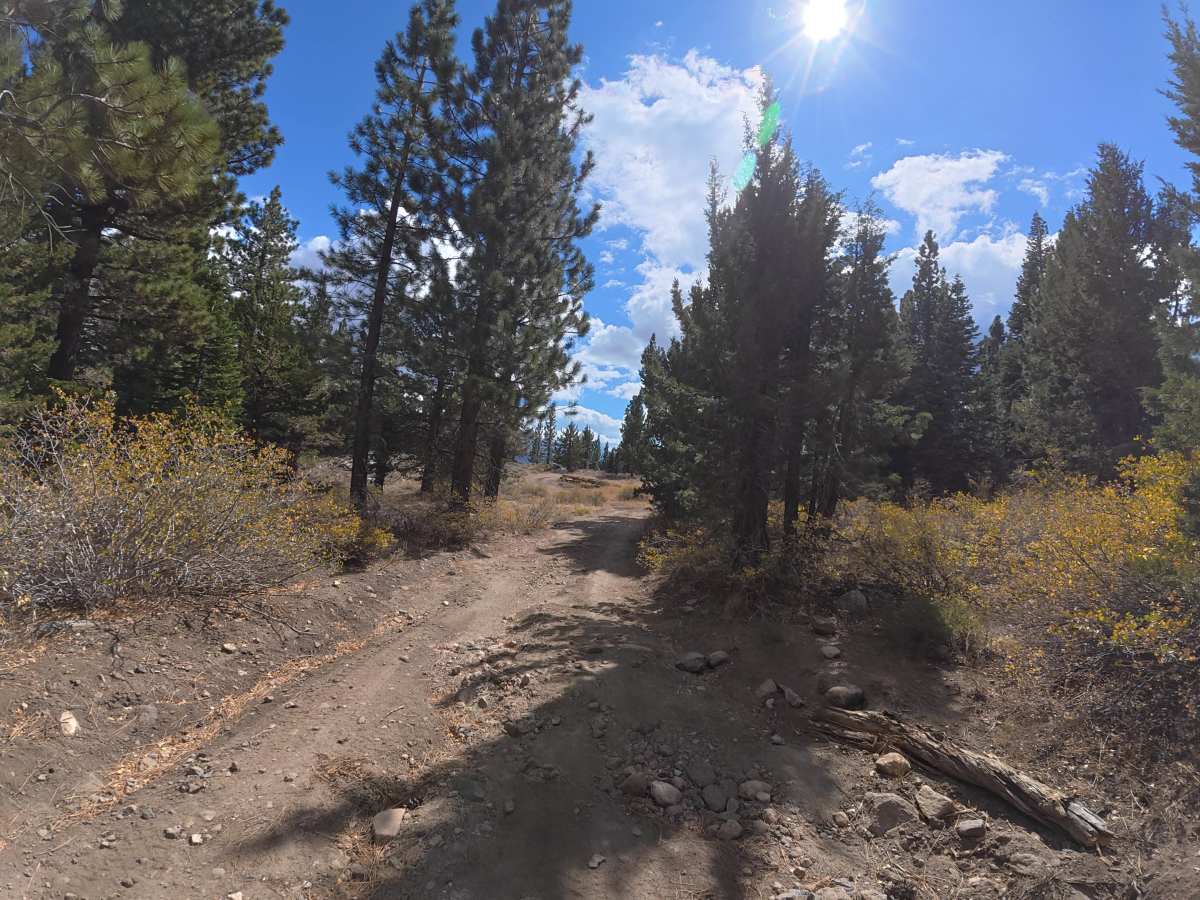 Creek Road Spur F trail photo