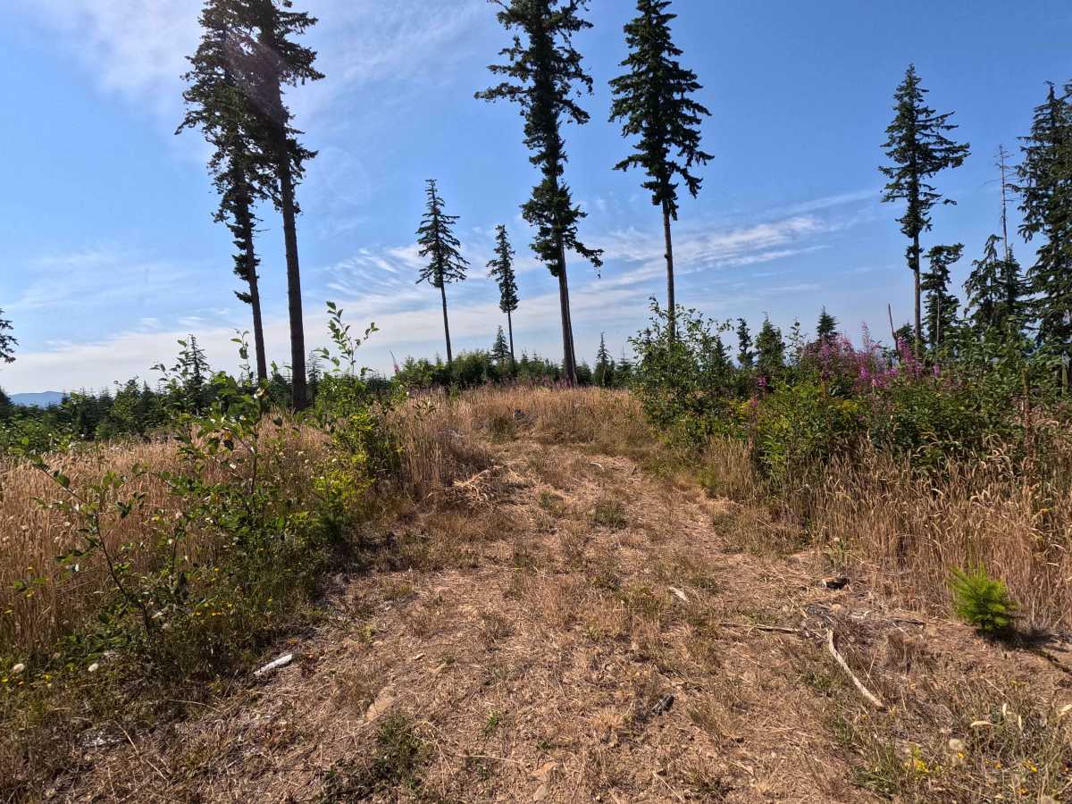 Laddy Buck Trail photo 3