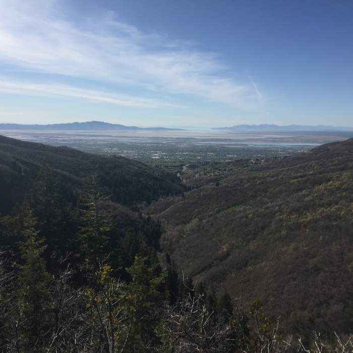 Near Mueller Park Trail