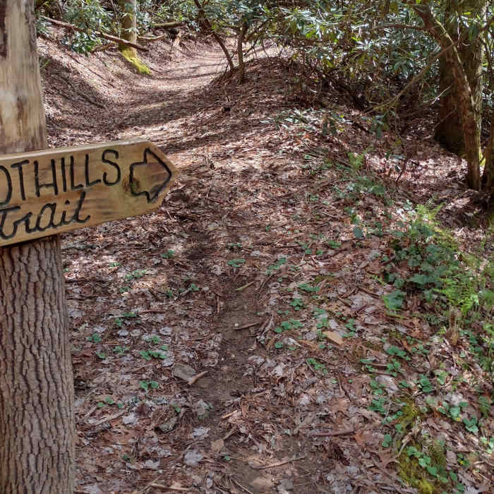 Near Foothills Trail