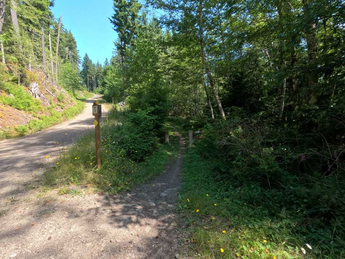 South Lyre trail photo