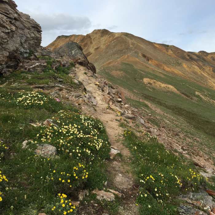 Near Sugar Loaf Mountain Near Sugar Loaf Mountain