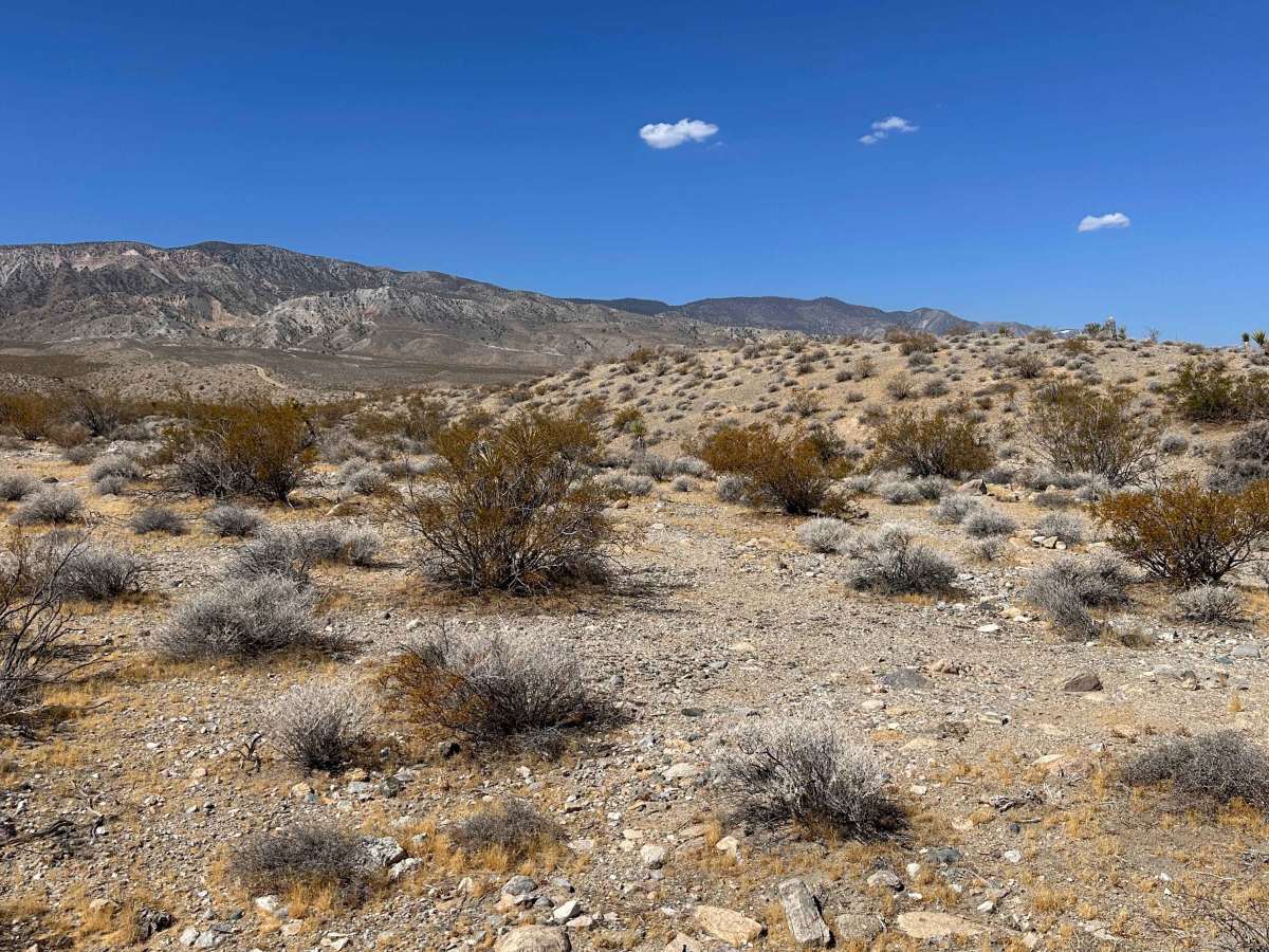 Coyote Gap photo 6