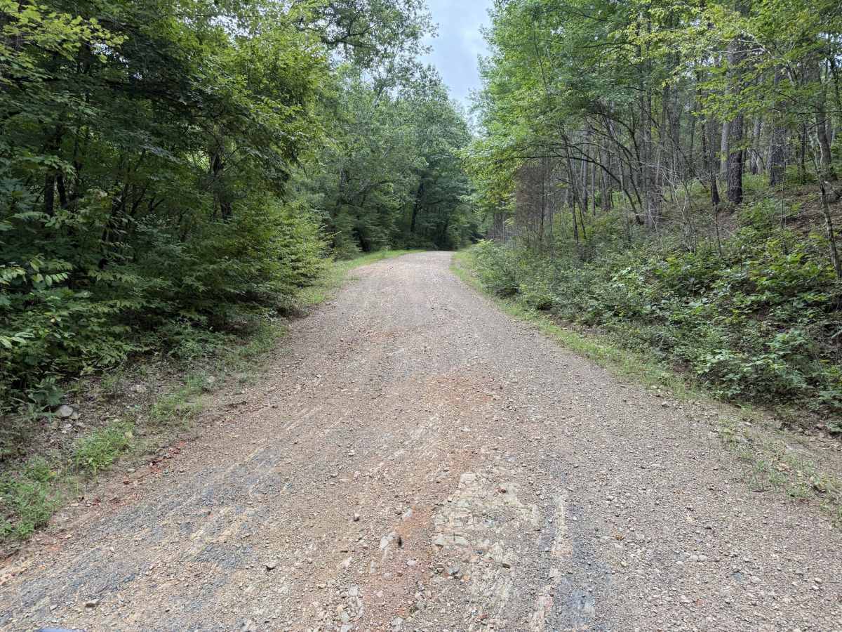 Polk County Road 633 photo 5