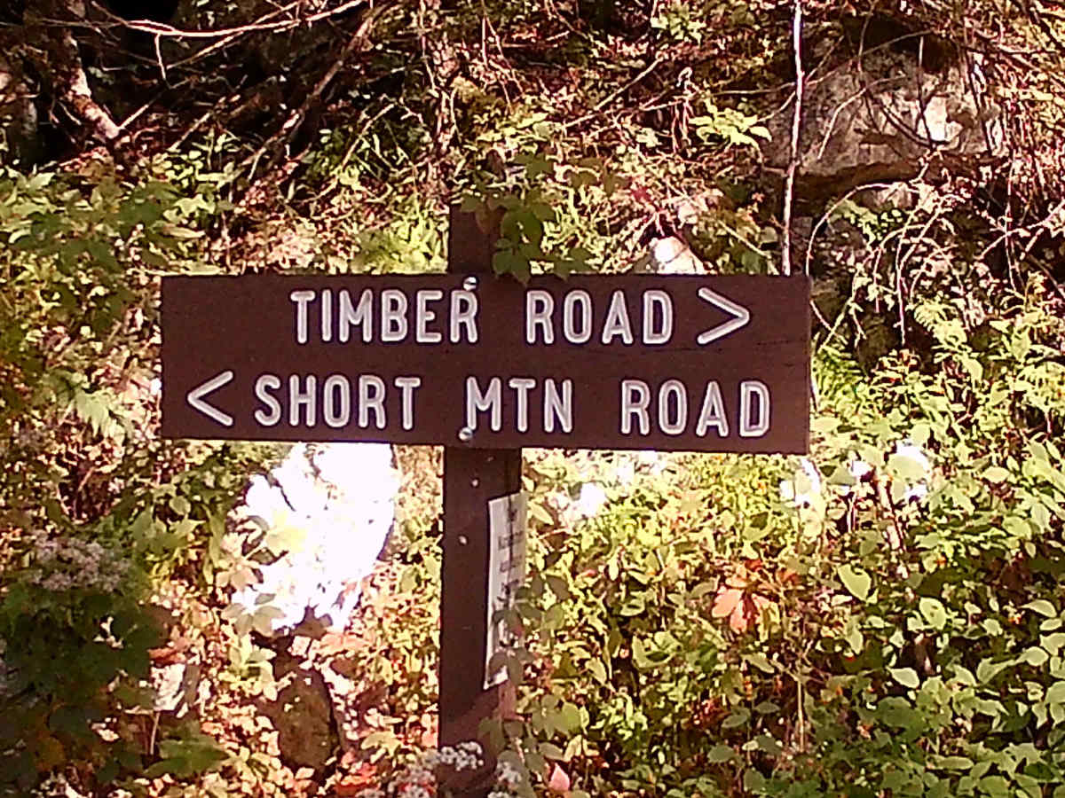 Short Mountain Road photo 5