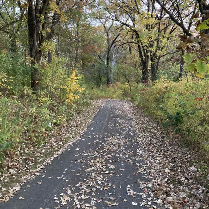 Near Chester Lake Trail Near Chester Lake Trail