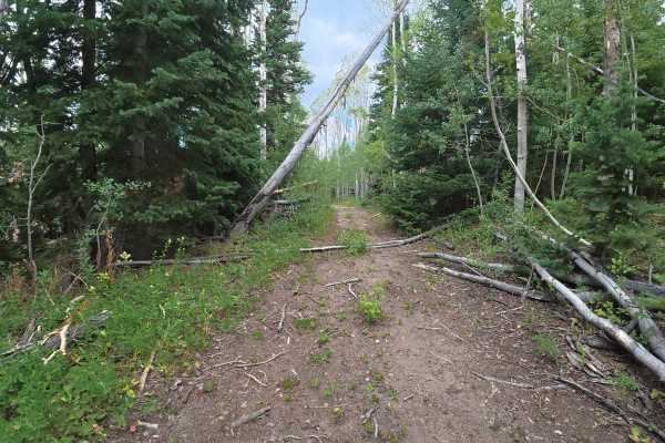 Eagle Rock Road - FS 284