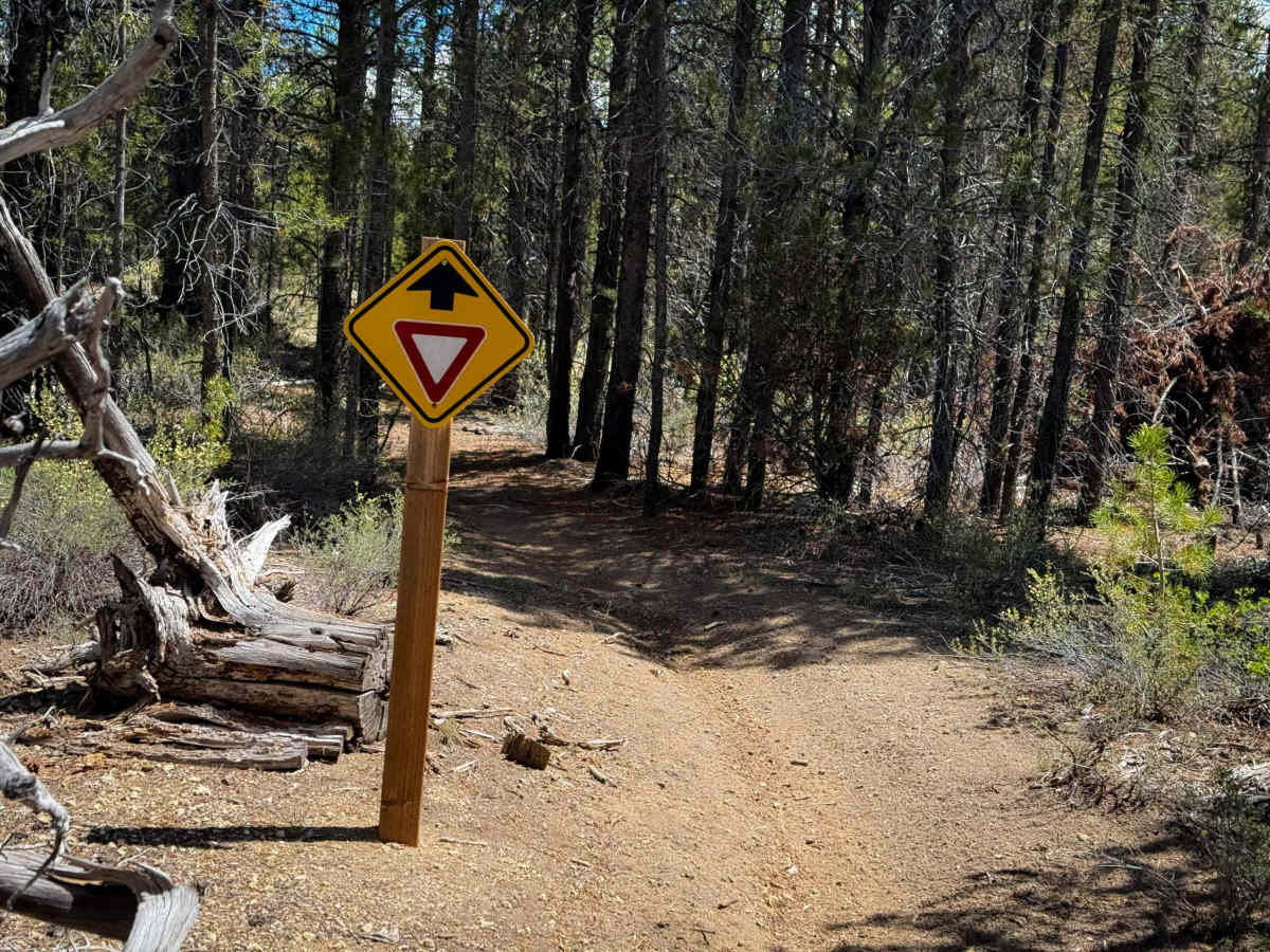  Trail 31  photo 6