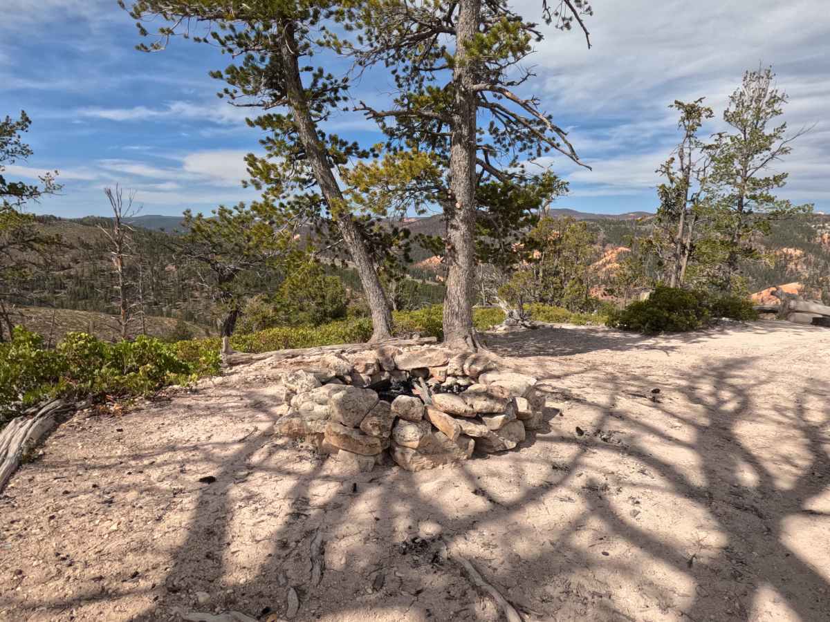 Special Spot - FS 33619 photo 2