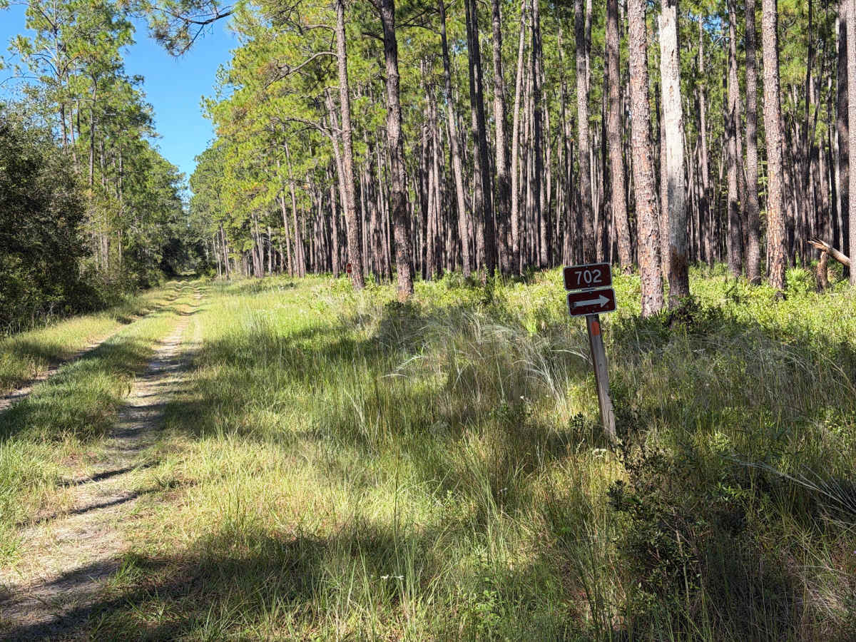 FS 702 trail photo