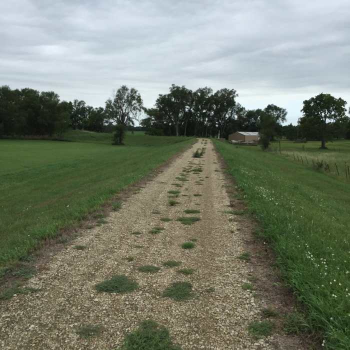 The levee trail is all a fine to small rock surface. Near Salina Levee Trail