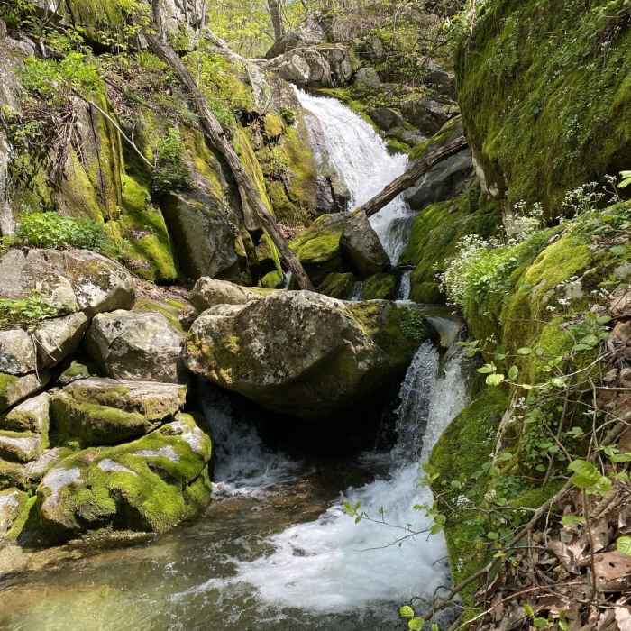 Near Three Ridges Loop Trail
