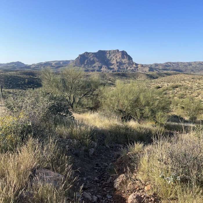 Near Reavis Canyon / Happy Camp Loop