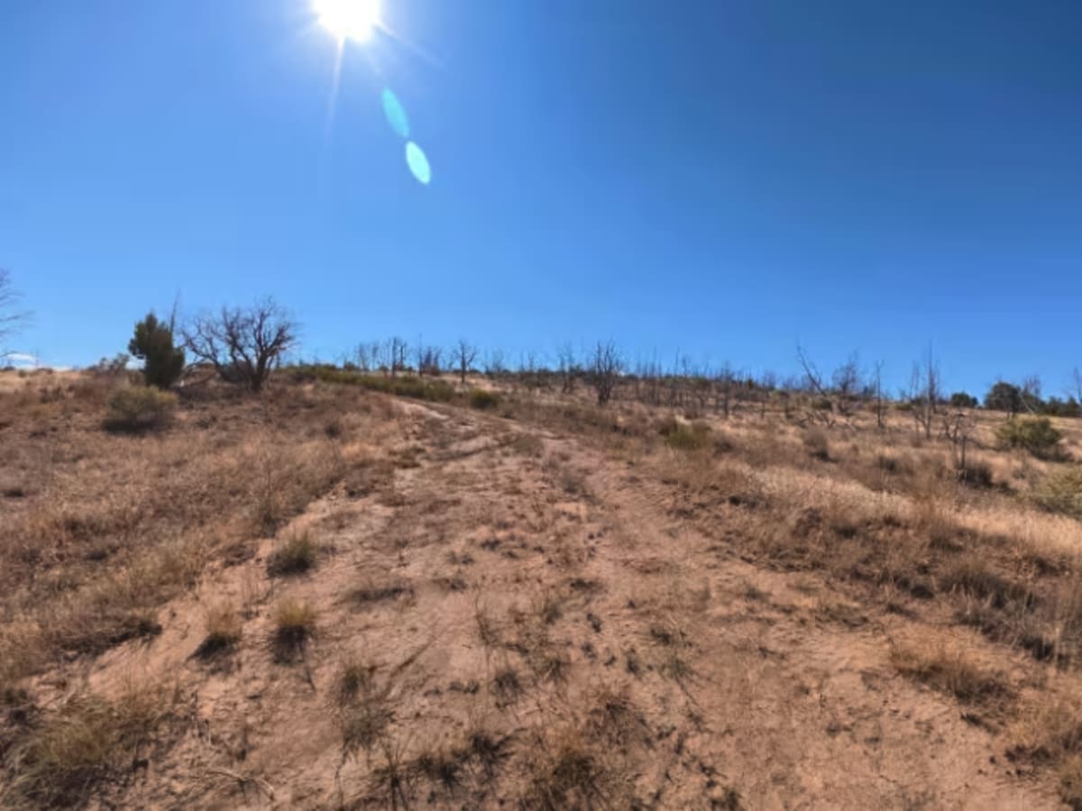 BLM 286 photo 6