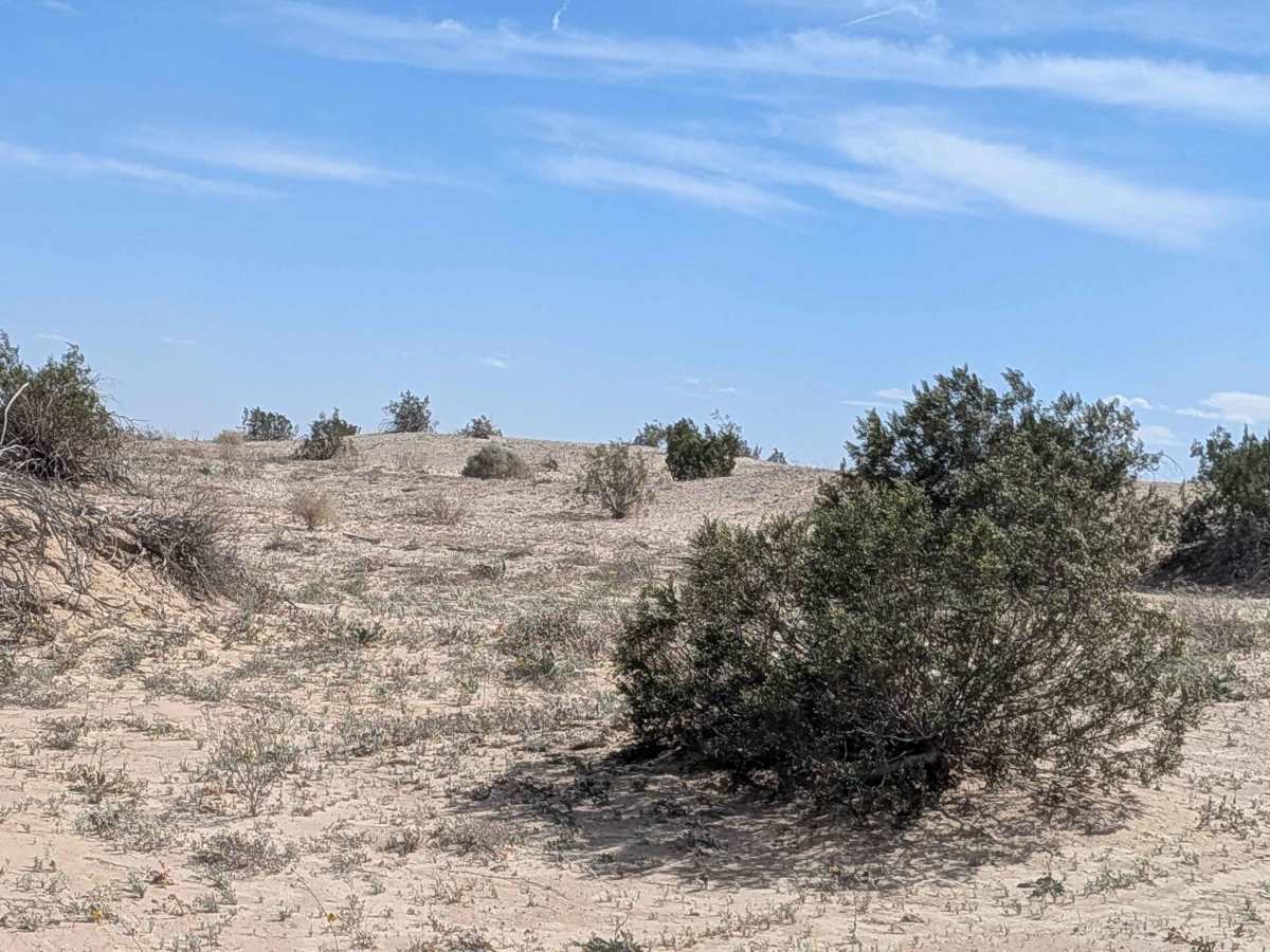 BLM 414 trail photo