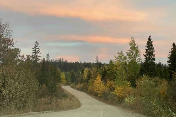 Buck Hills FSR