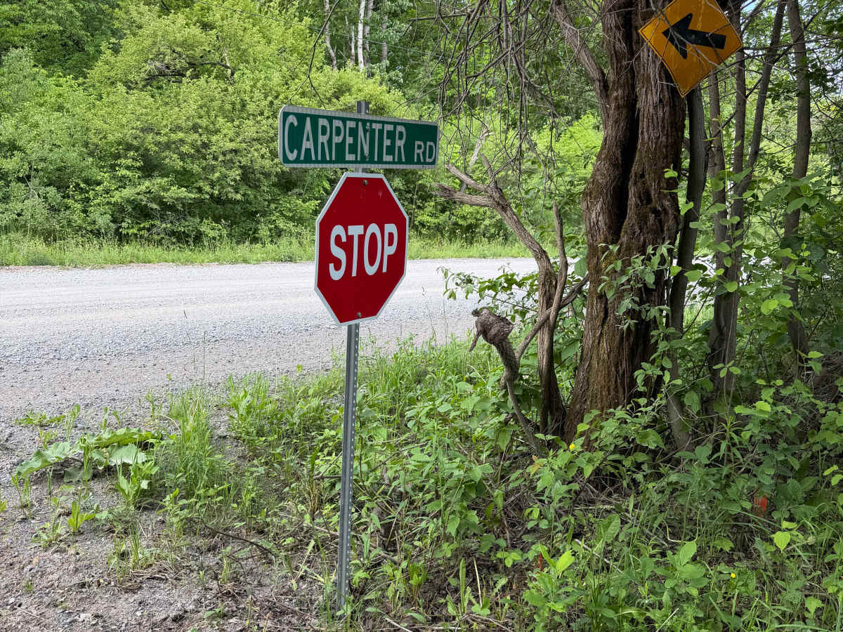 Carpenter Road Play Area trail photo