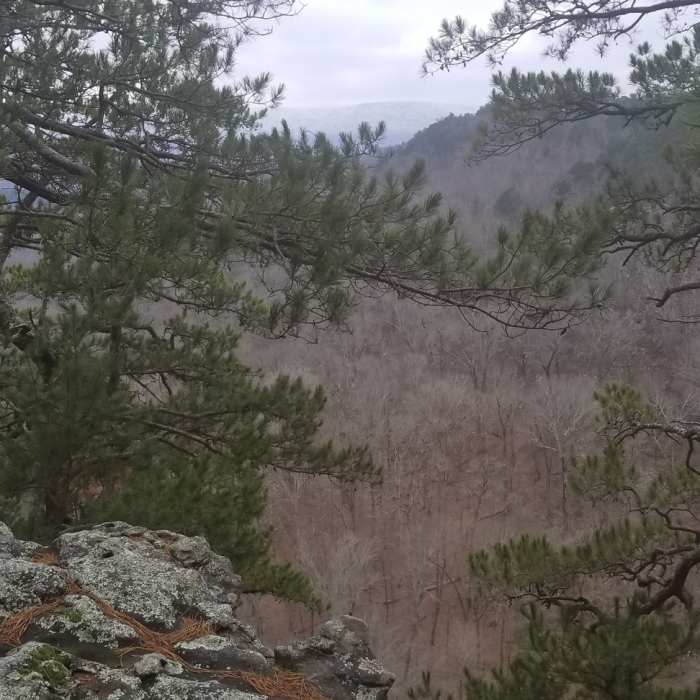 Near Mt. Magazine Trail