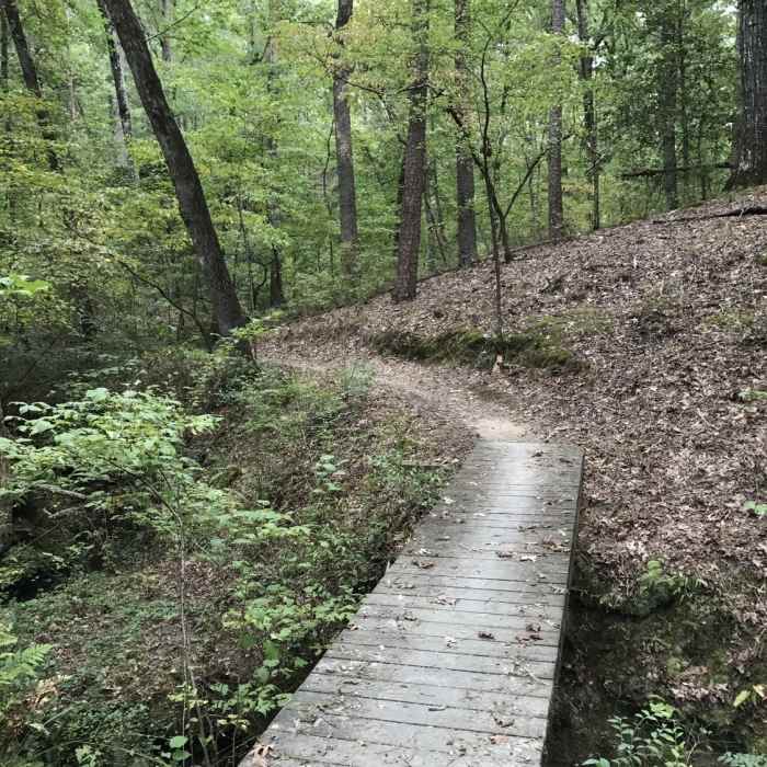Owens Bridge Near LOViT: Ode to Bench