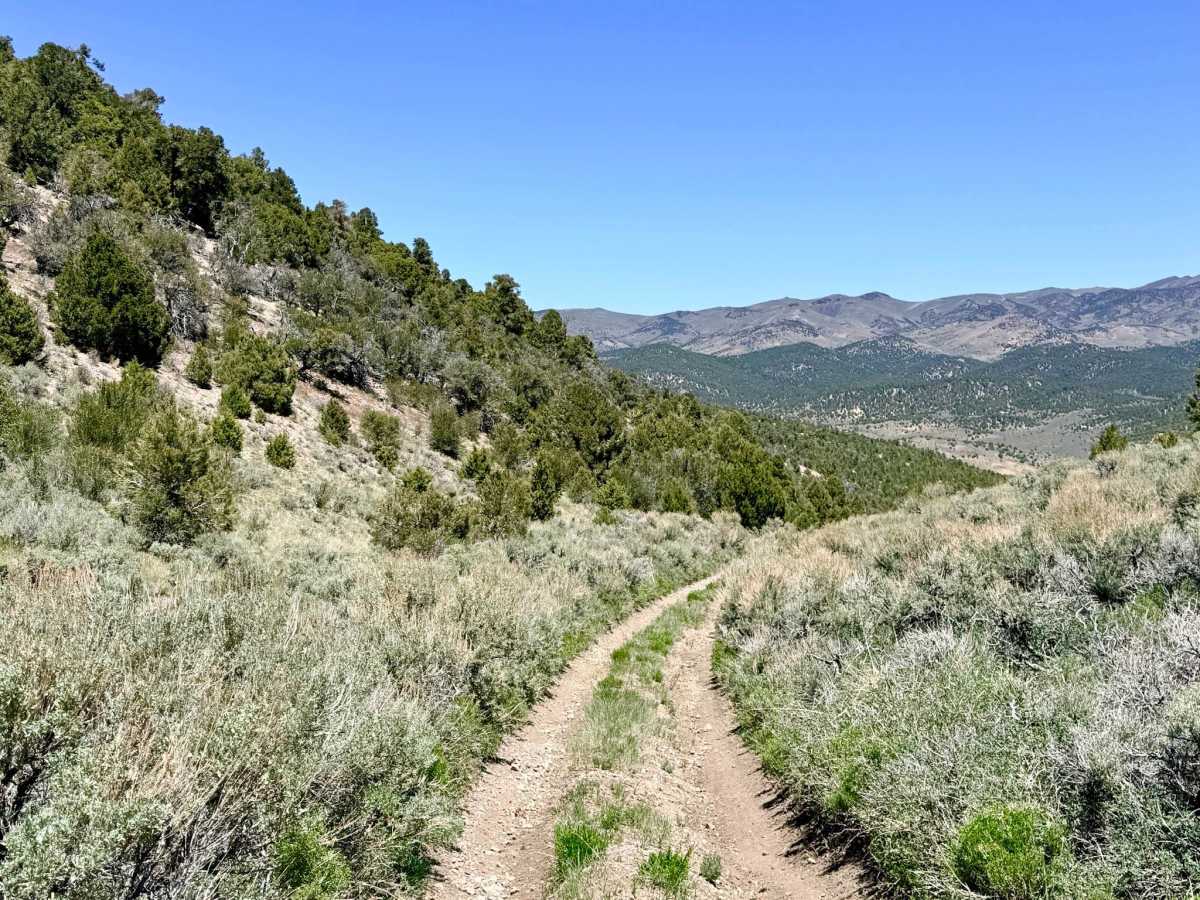 Charnac Brock Canyon - FS 43129 photo 5