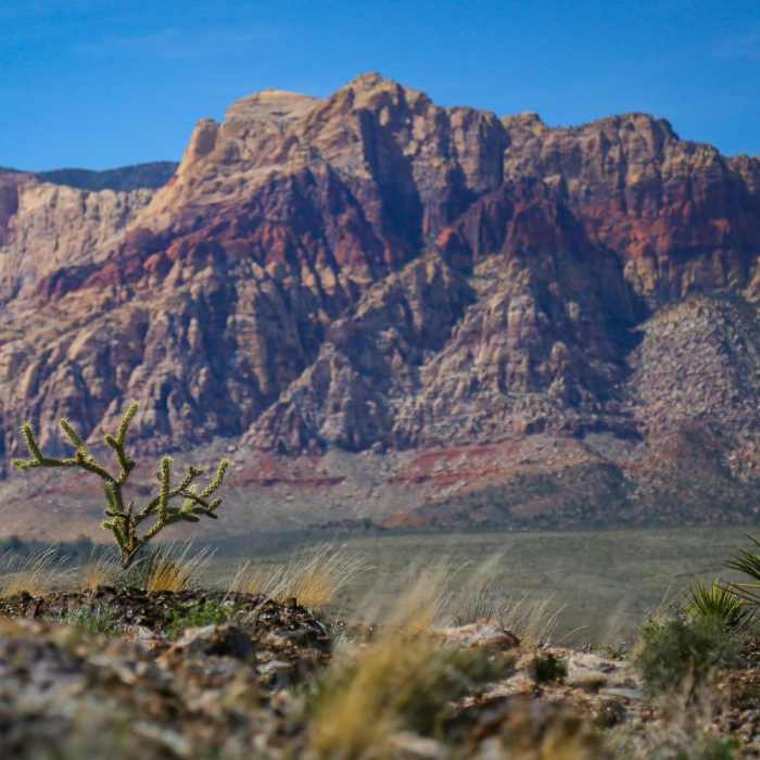 Near Las Vegas Overlook Trail