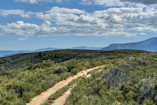 Brushy Ridge - 19N29