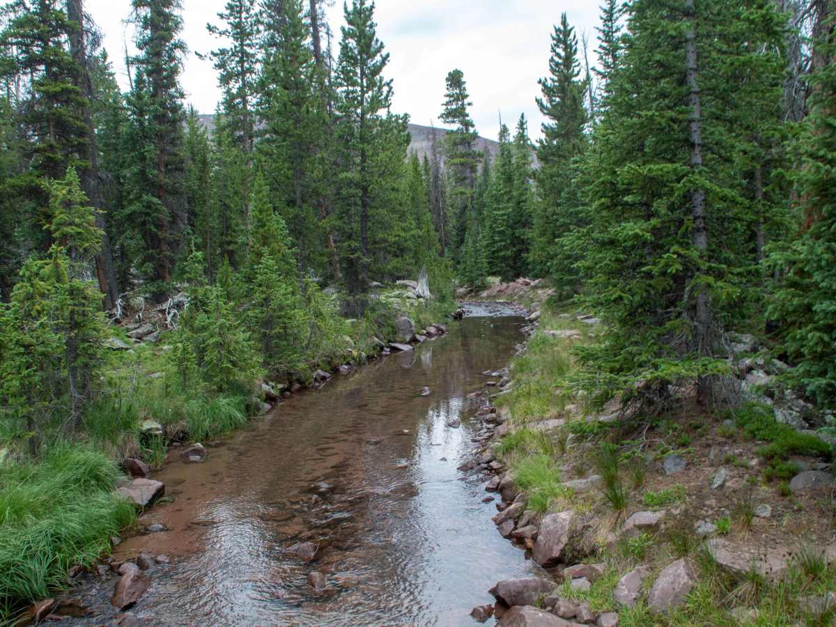 Johnson Creek - FS 10459 photo 3