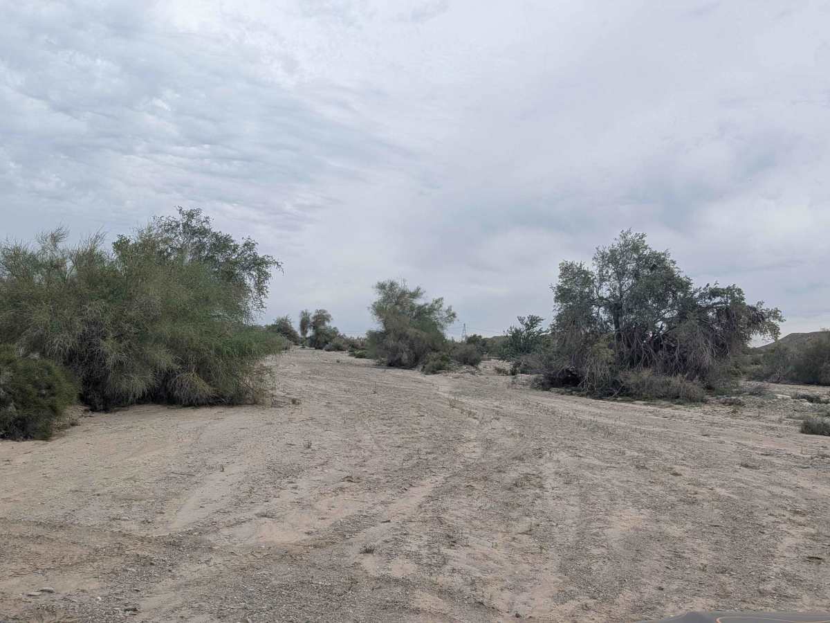 EC1229 photo 4