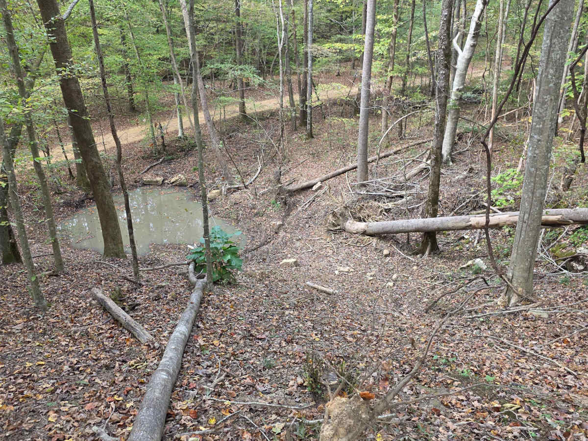 Heck No Hill trail photo
