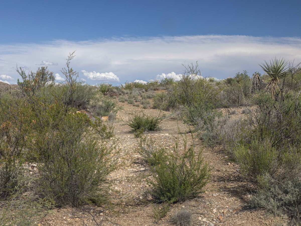 BBRSP Papalote de la Sierra trail photo