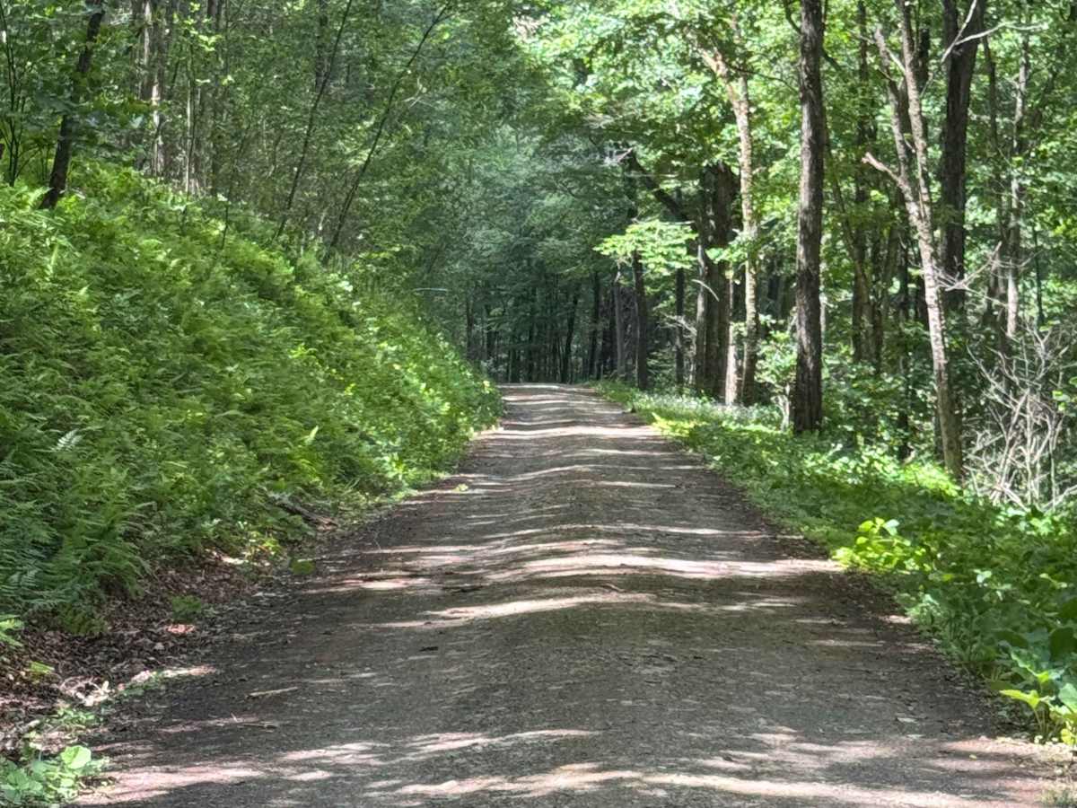 Nelson Run Road photo 2