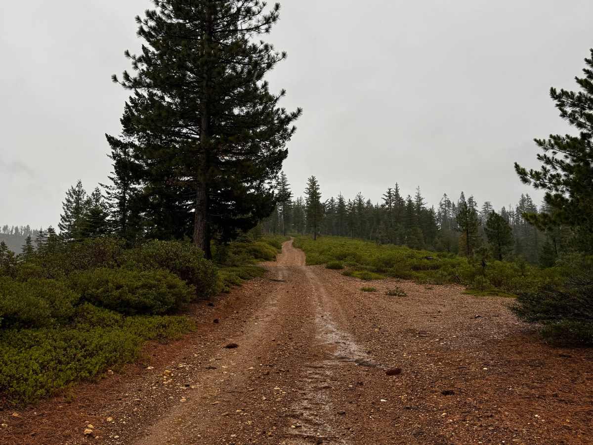 American Hill Trail photo 5