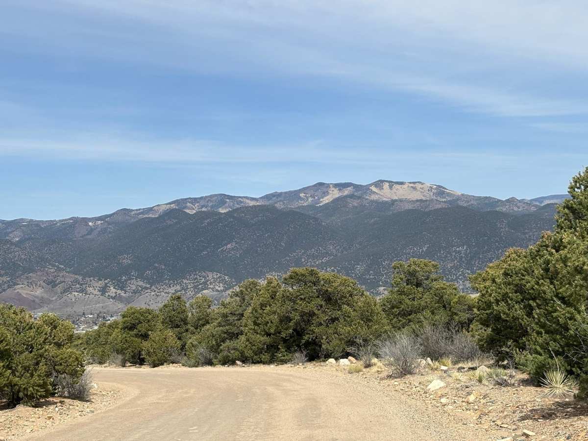 BLM 5669 photo 3