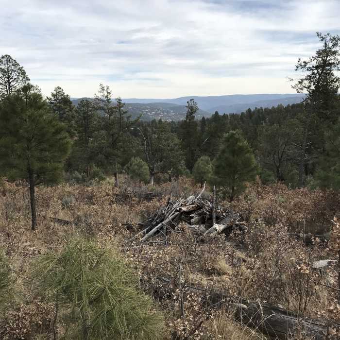 Near Upper Raven #121A