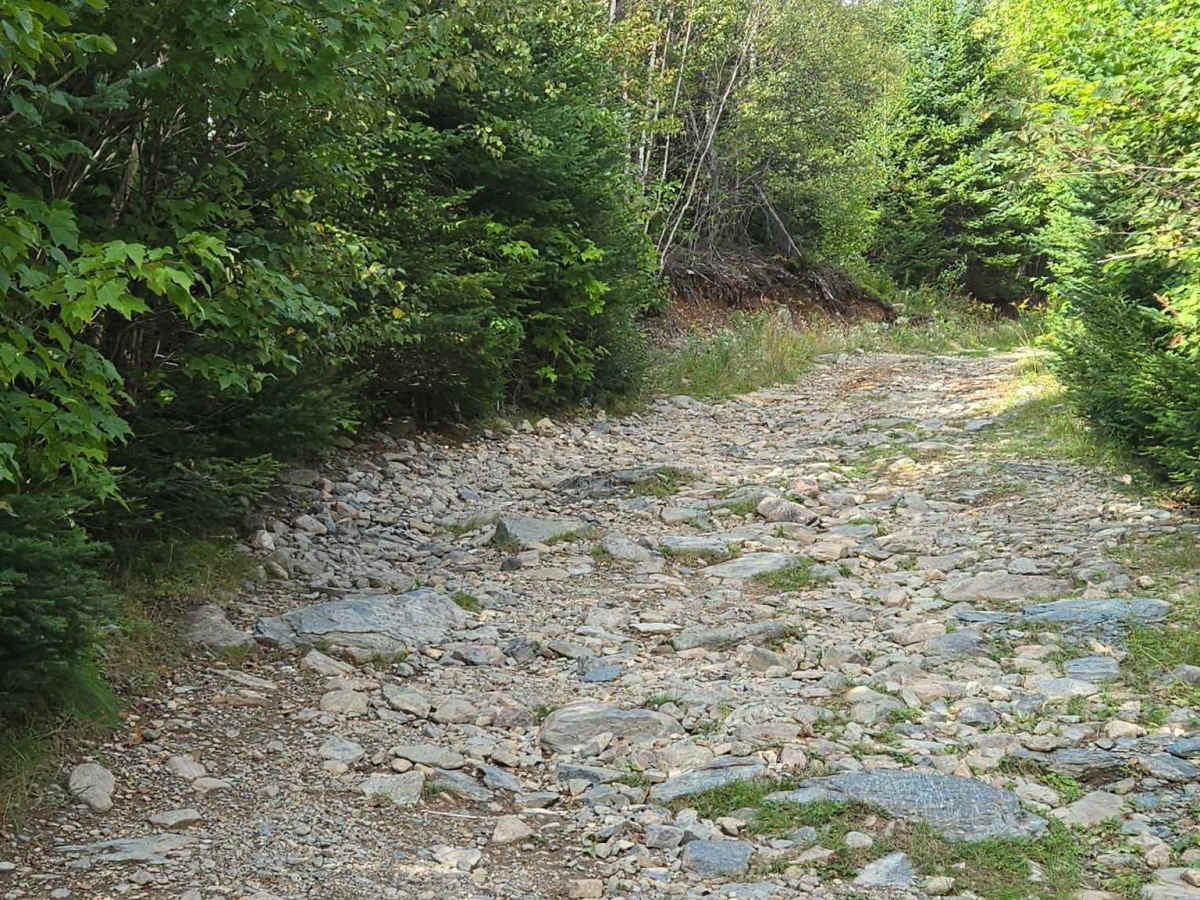 Rat Tail Brook Trail photo 4