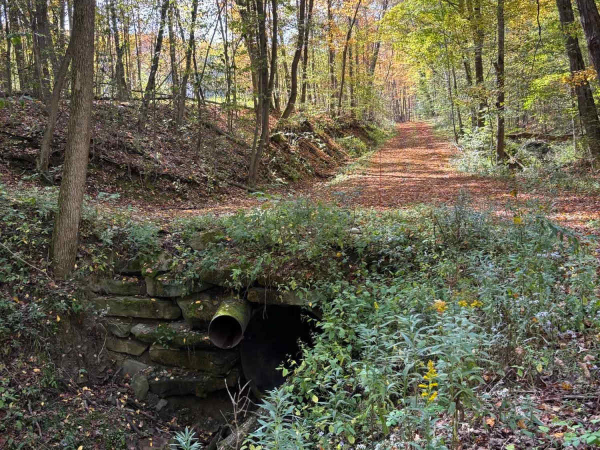Beechner Road photo 4