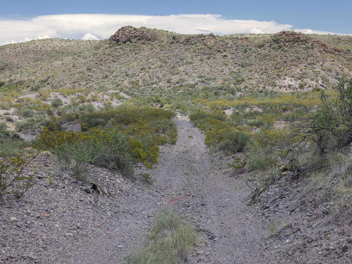 BBRSP - Los Alamos Road photo 2