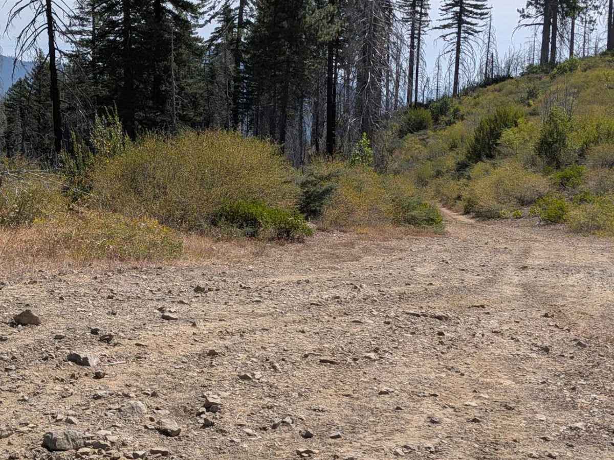 Donaldson Creek Road - FS 32N14  photo 6