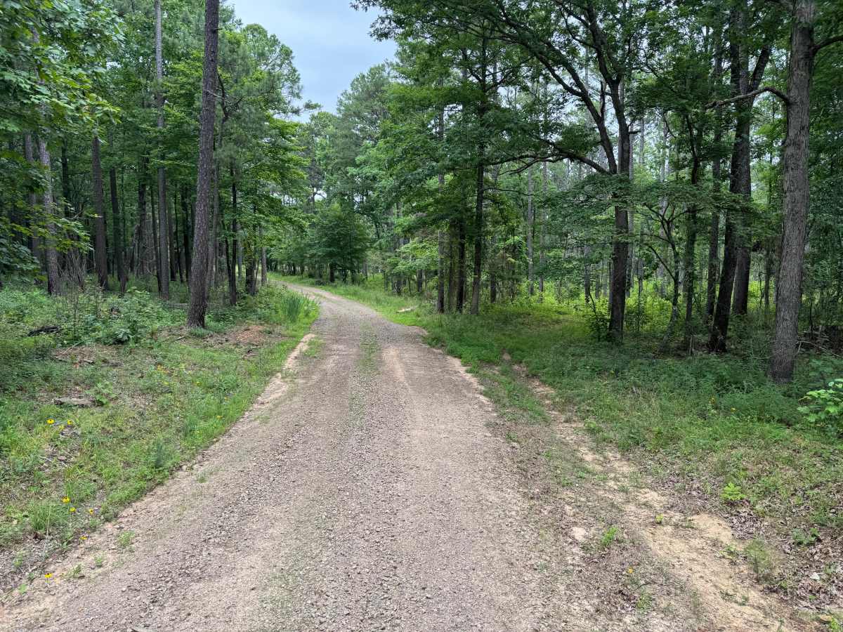 Bunkhouse trail photo