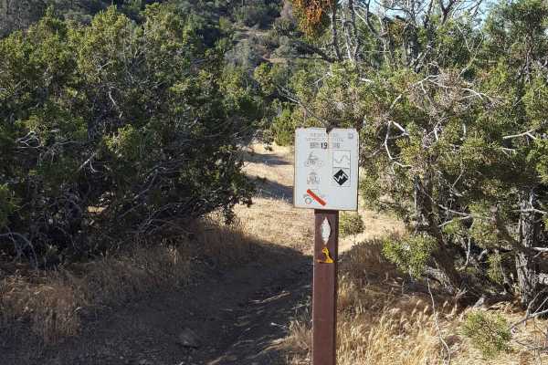 Trail 19
