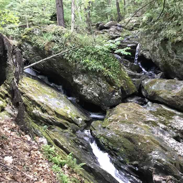 Near Duck Brook Trail