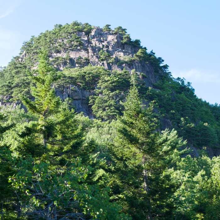 View of the Beehive. Near Beehive Trail