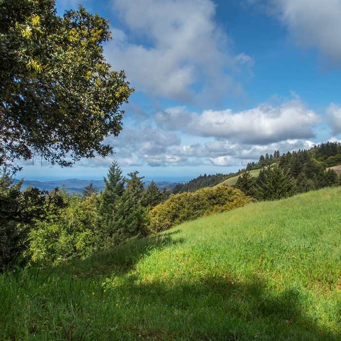 Near Long Ridge Road