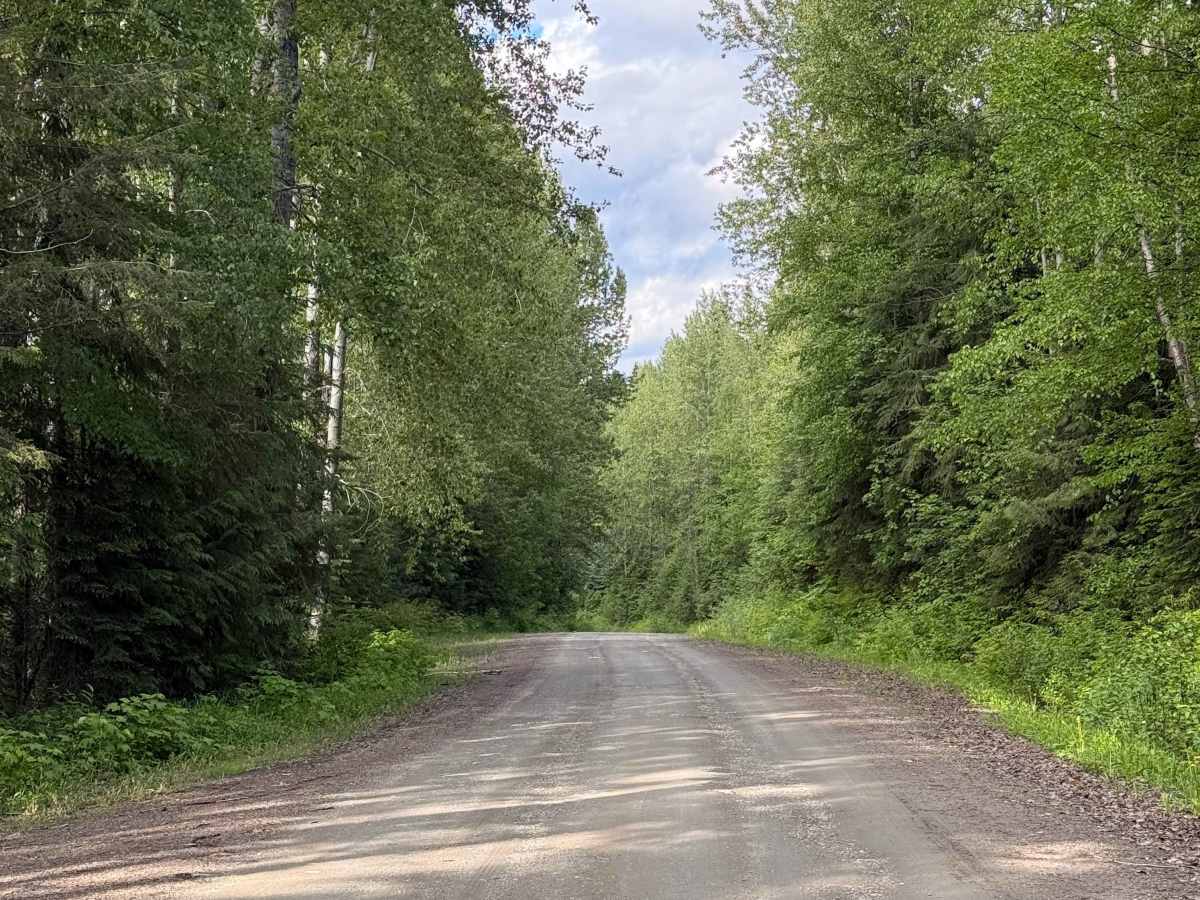 The Back Road photo 5