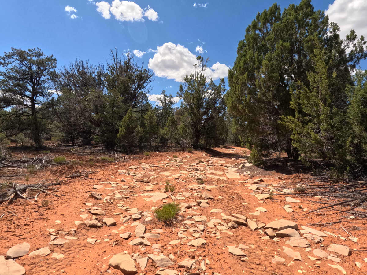 BLM 46H photo 6